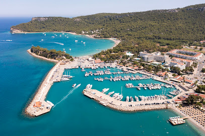 Çekirdeksiz Mandalin Camping Kemer Antalya Çadır Karavan Kamp Alanı Yerel İşletme fotoğrafı 1