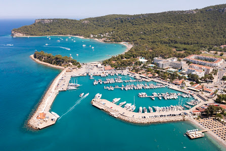 Çekirdeksiz Mandalin Camping Kemer Antalya Çadır Karavan Kamp Alanı Yerel İşletme fotoğrafı 2