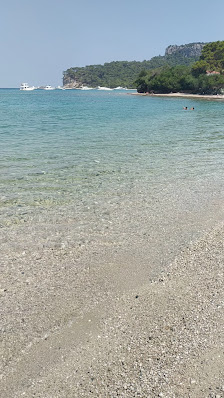 Çekirdeksiz Mandalin Camping Kemer Antalya Çadır Karavan Kamp Alanı Yerel İşletme fotoğrafı 4